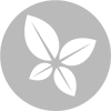ECO2_3.png