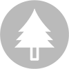 SAPIN3.png
