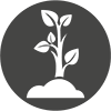 SYLVICULTURE.png