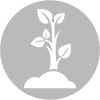 SYLVICULTURE3.png