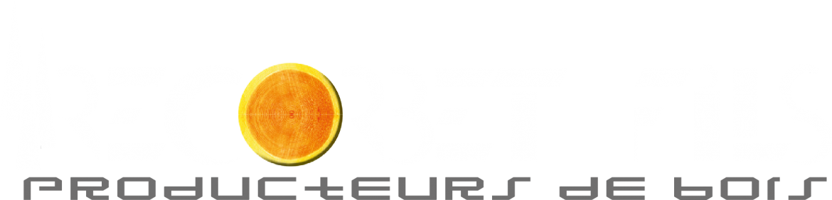 LOGO_RECORBET_BLANC.png