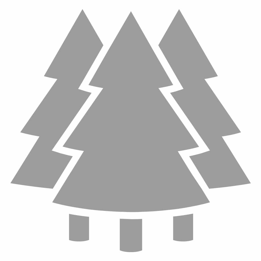 SAPINS.jpg